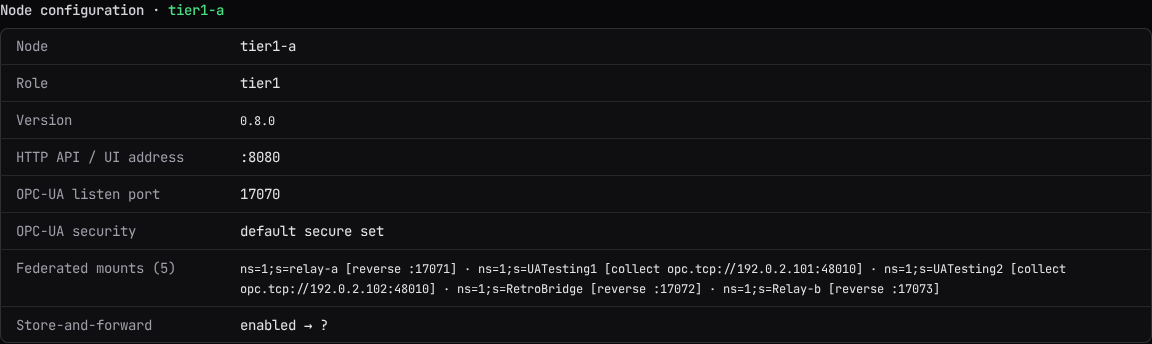 The Node configuration section: a read-only table of the configured node's name, version, addresses, ports, security, mounts, and store-and-forward state